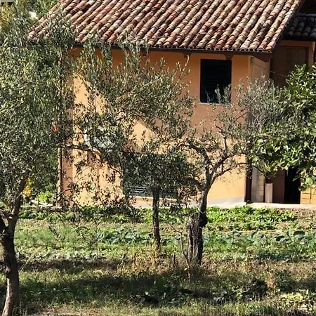 Agriturismo La Casetta ゲストハウス Villa Santa Maria